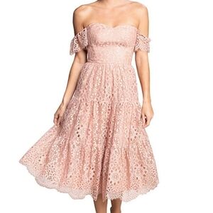 Dress the Population River Lace Dress Size Small in Blush Pink